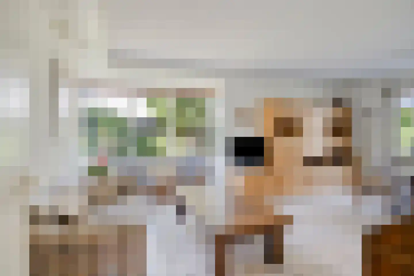 Iep 45 Best foto 2