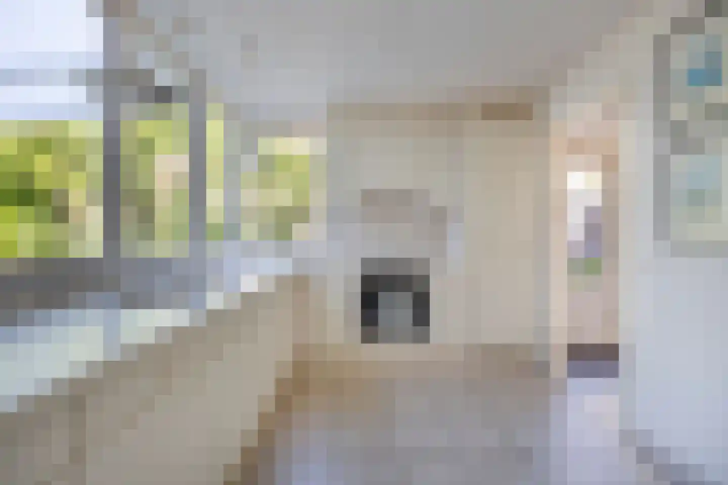 Iep 45 Best thumbnail 4