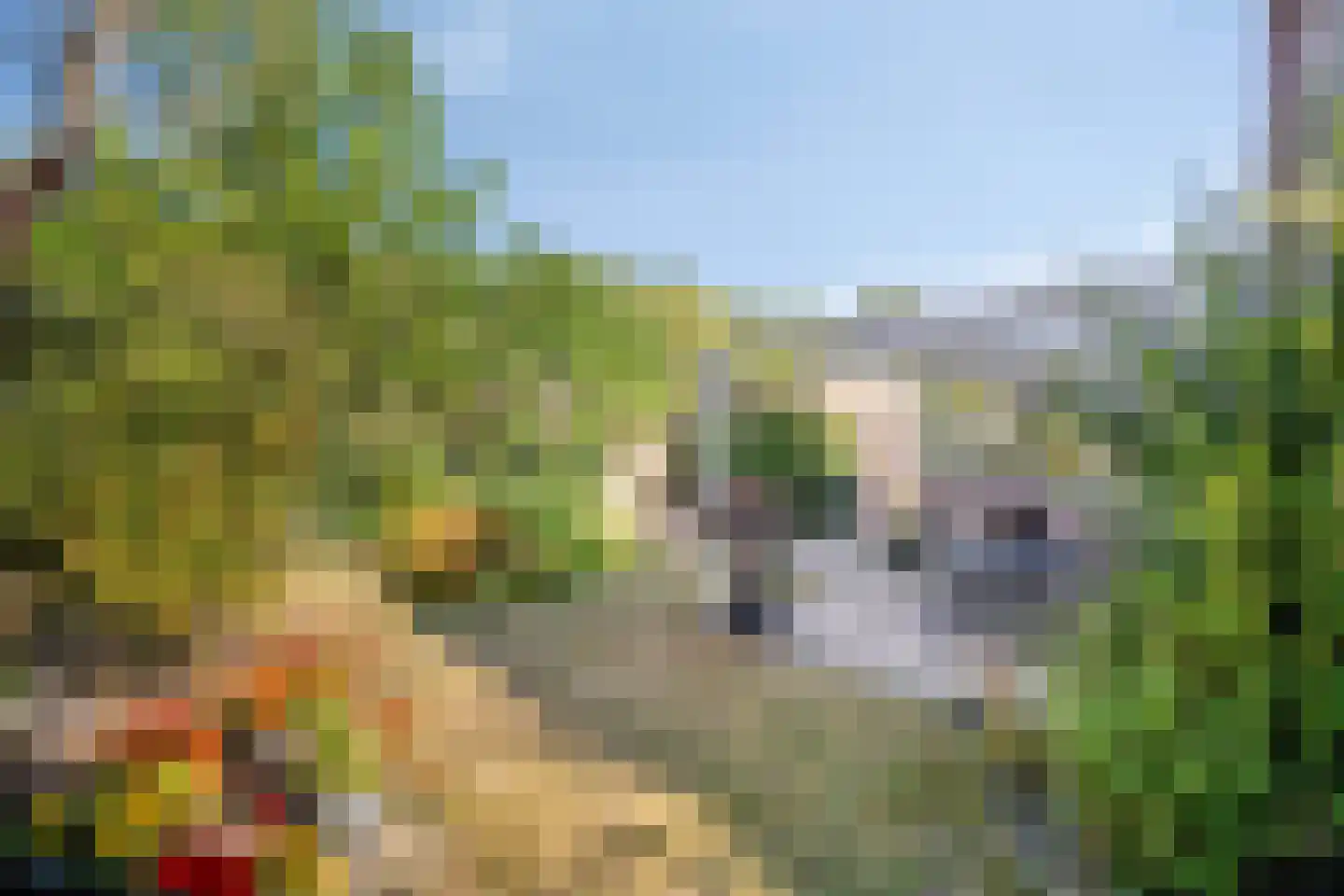 Iep 45 Best thumbnail 42