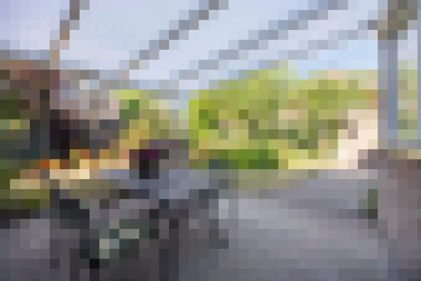 Iep 45 Best thumbnail 43