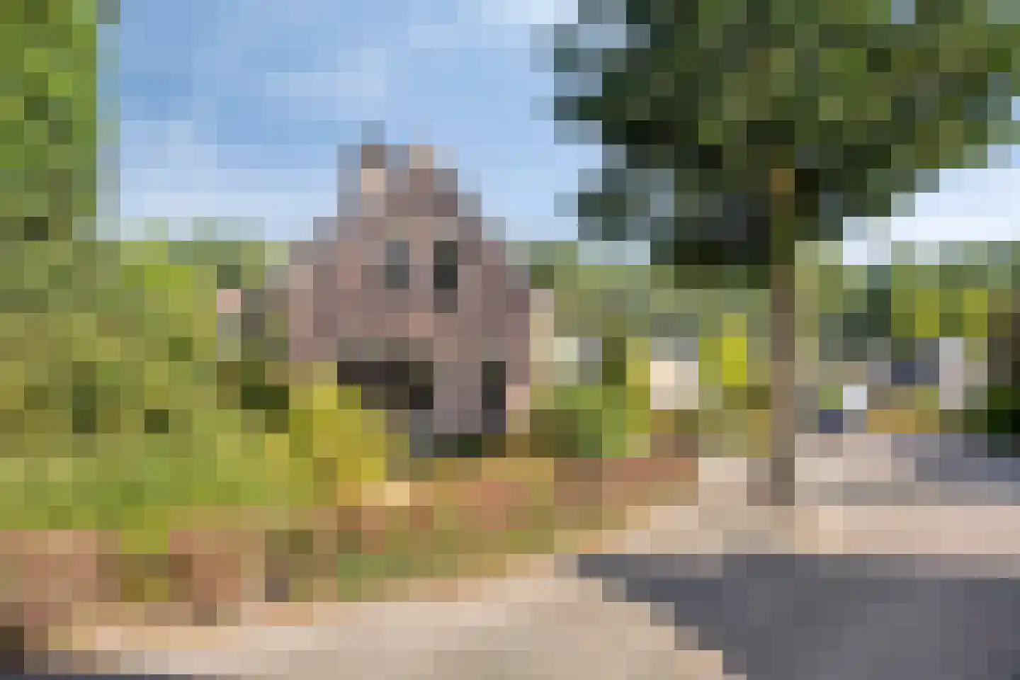 Iep 45 Best thumbnail 45
