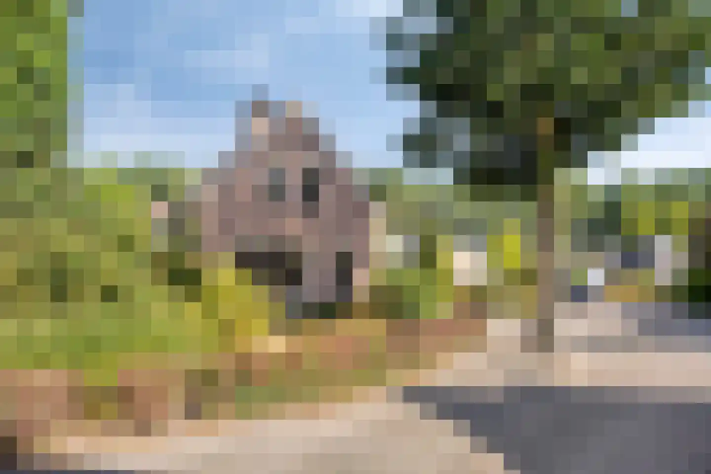 Iep 45 Best thumbnail 46