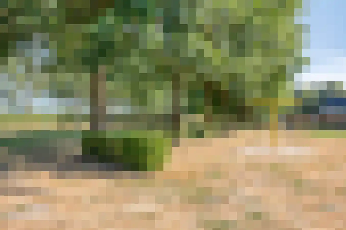 Iep 45 Best thumbnail 47