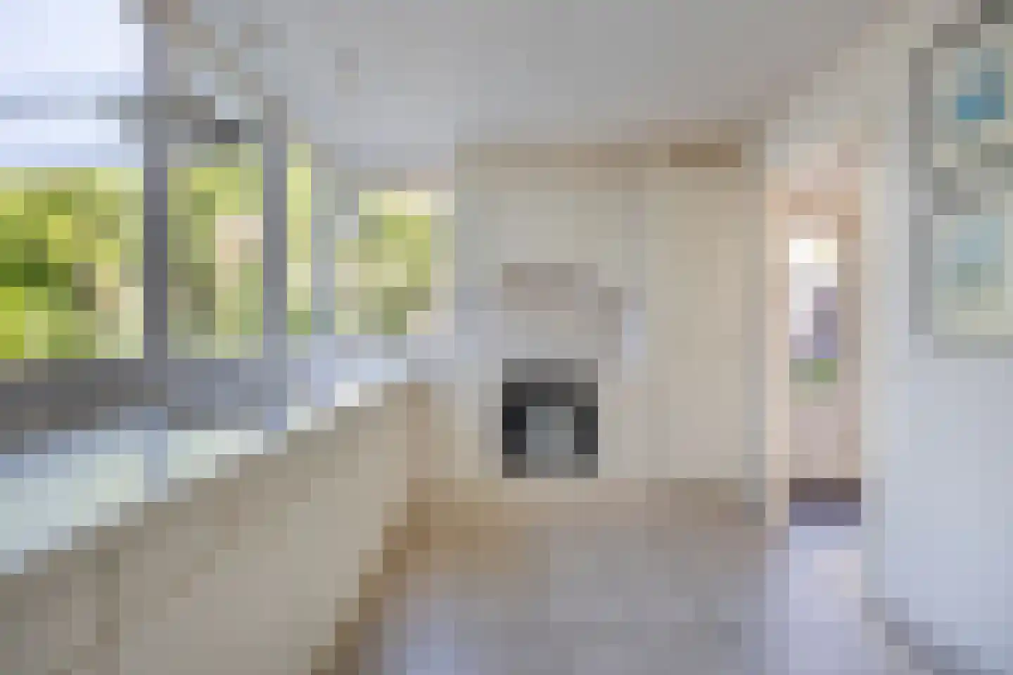 Iep 45 Best thumbnail 5