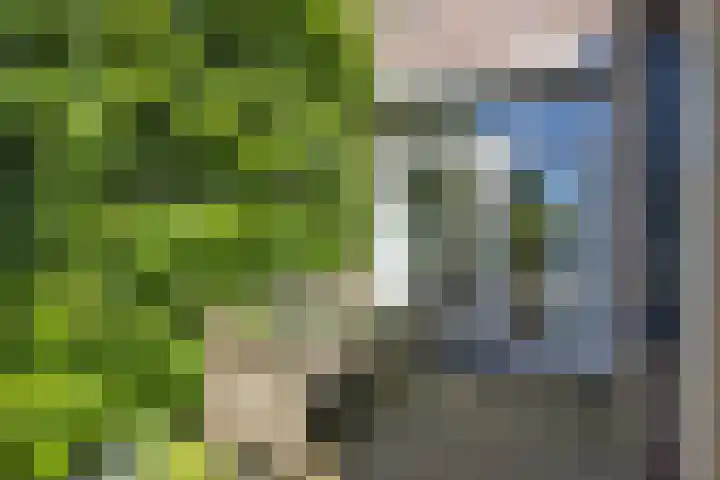 Iepebeek 25 Veldhoven thumbnail 31