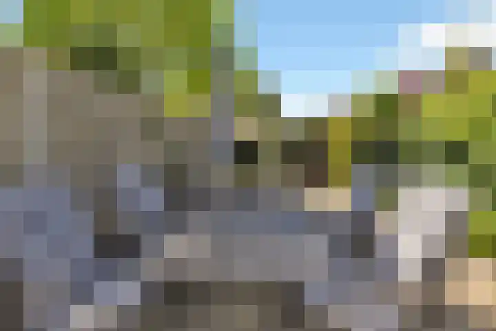 Iepebeek 25 Veldhoven thumbnail 33