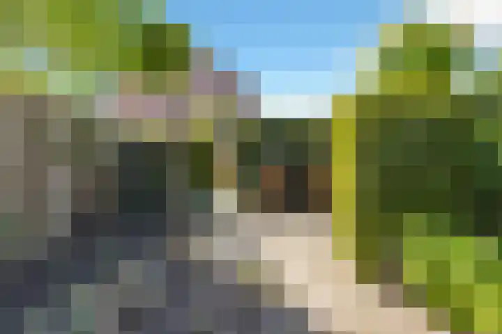 Iepebeek 25 Veldhoven thumbnail 34