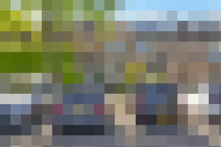 Iepebeek 25 Veldhoven thumbnail 36