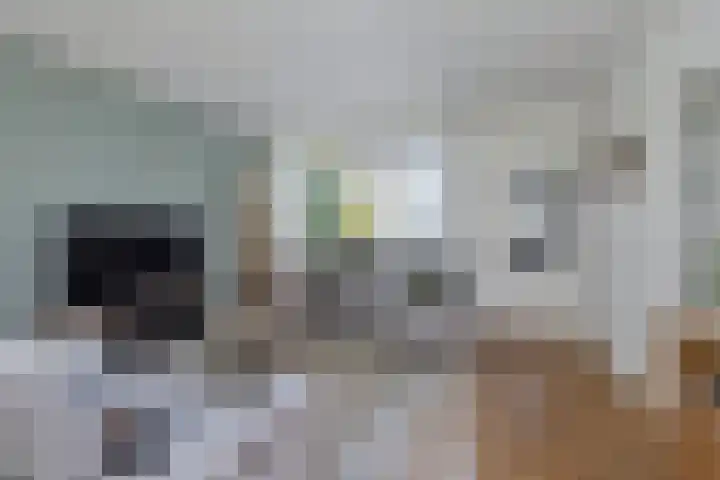 Iepebeek 25 Veldhoven thumbnail 7