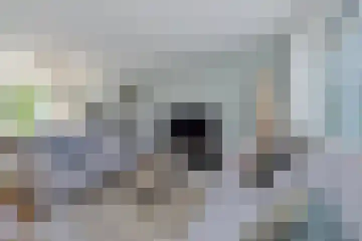 Iepebeek 25 Veldhoven thumbnail 8