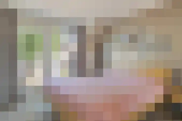 Iepelaar 47 Asten thumbnail 20