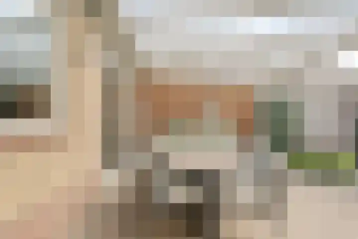 Iepelaar 47 Asten thumbnail 31