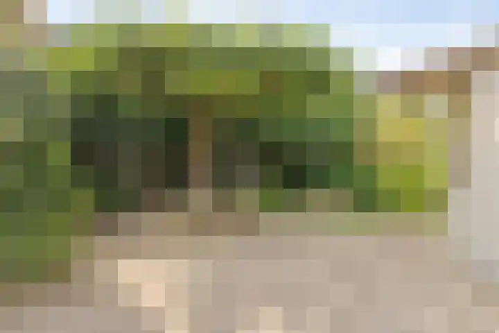Iepelaar 47 Asten thumbnail 33