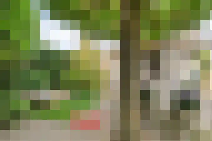 Iepelaar 47 Asten thumbnail 34