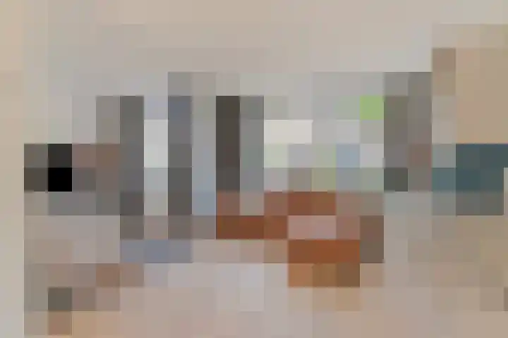 Iepelaar 47 Asten thumbnail 8