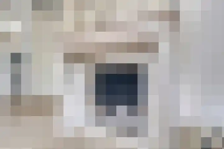 Iepenblad 10 Oostvoorne thumbnail 11