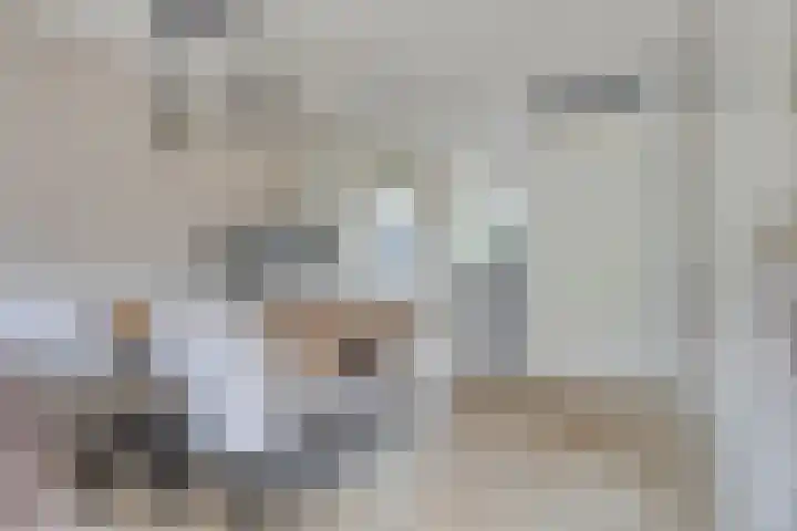 Iepenblad 10 Oostvoorne thumbnail 12