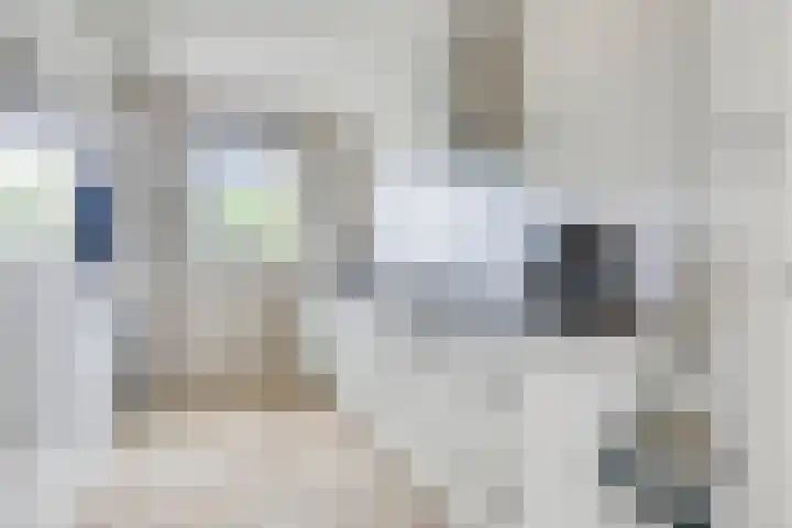 Iepenblad 10 Oostvoorne thumbnail 14