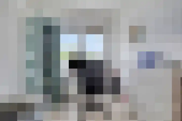 Iepenblad 10 Oostvoorne thumbnail 17