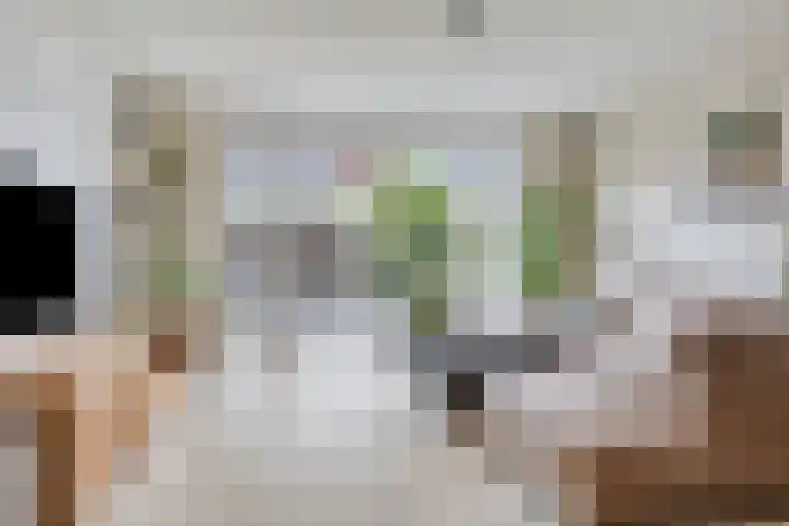 Iepenblad 10 Oostvoorne foto 2