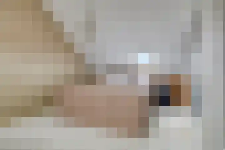 Iepenblad 10 Oostvoorne thumbnail 23
