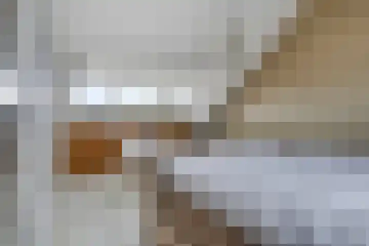 Iepenblad 10 Oostvoorne thumbnail 24