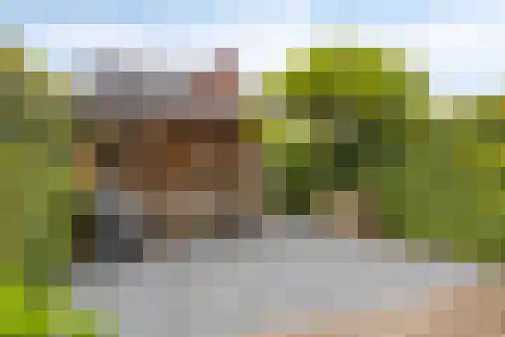 Iepenblad 10 Oostvoorne thumbnail 28