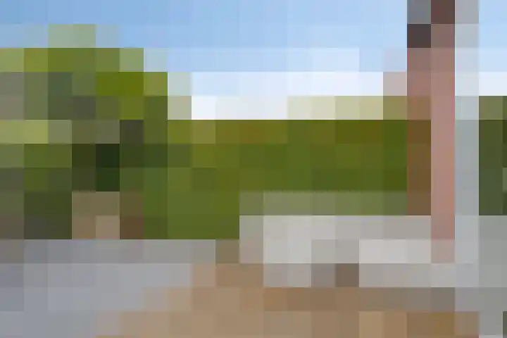 Iepenblad 10 Oostvoorne thumbnail 29