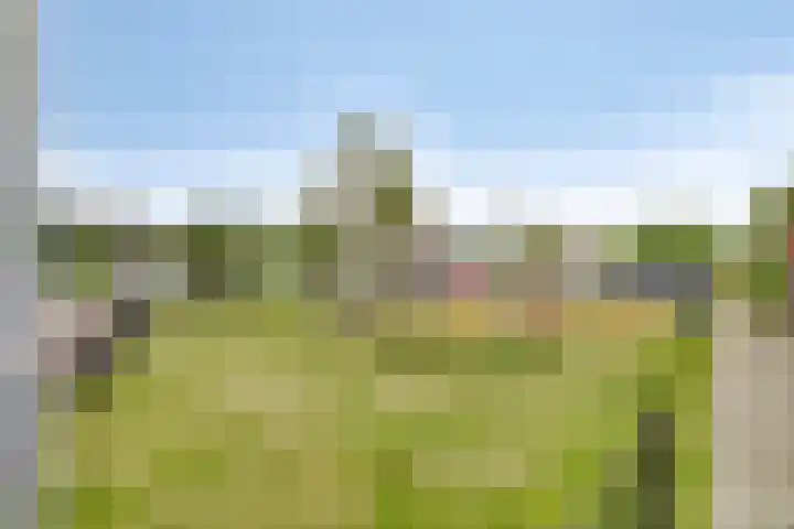 Iepenblad 10 Oostvoorne thumbnail 31