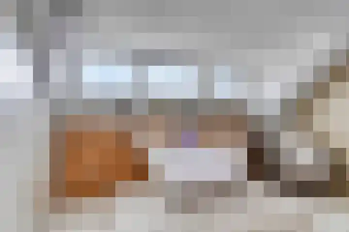 Iepenblad 10 Oostvoorne thumbnail 5