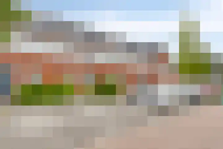 Iepenblad 10 Oostvoorne thumbnail 6