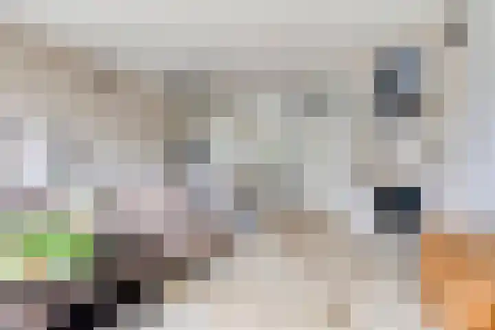 Iepenblad 10 Oostvoorne thumbnail 9