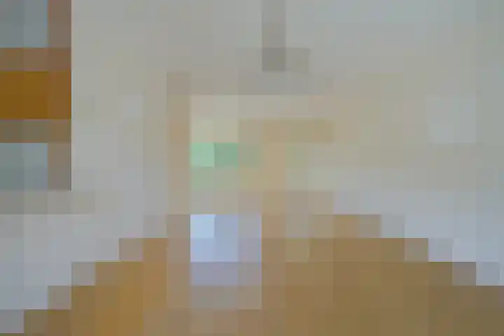 Iepenbroek 16 Breda thumbnail 17