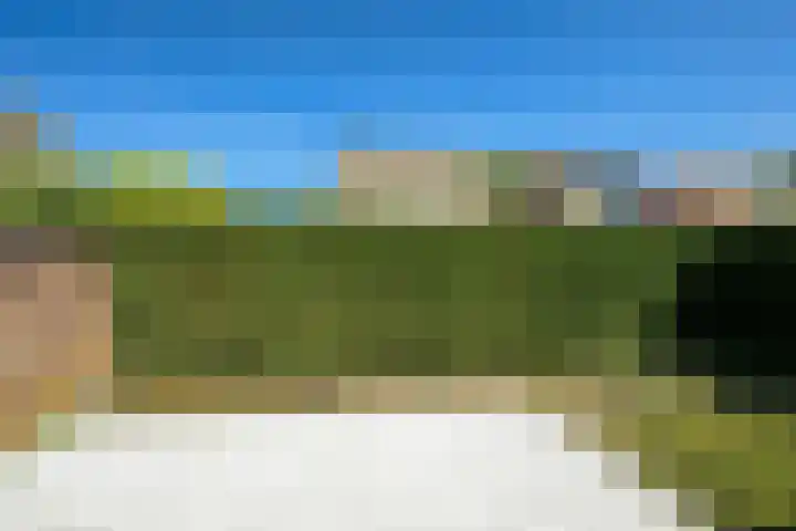 Iepenbroek 16 Breda thumbnail 26