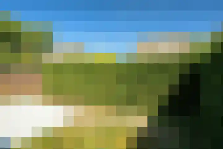 Iepenbroek 16 Breda thumbnail 27
