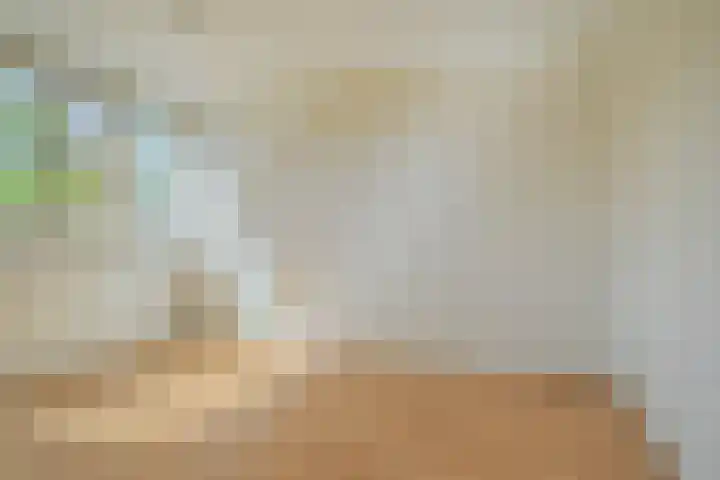 Iepenbroek 16 Breda thumbnail 33