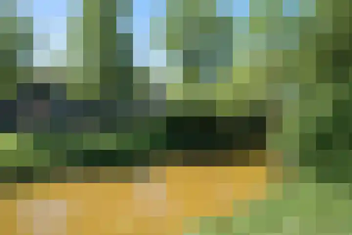 Iepenbroek 16 Breda thumbnail 45