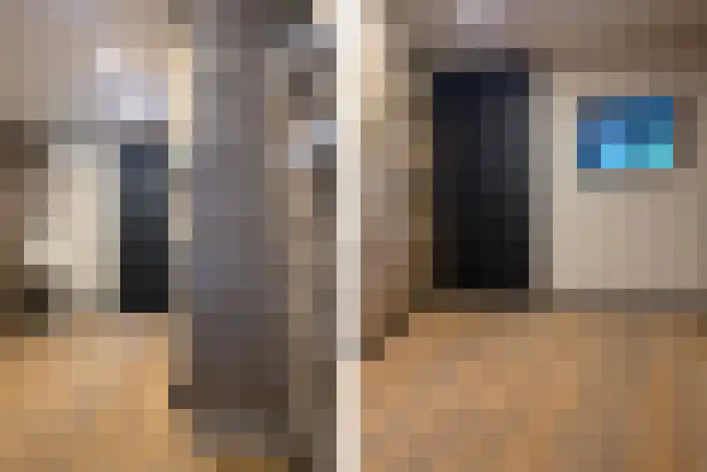 Iepenbroek 3 Breda thumbnail 37