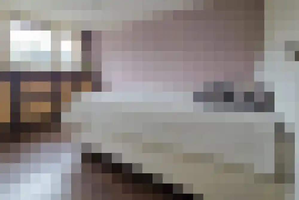 Iepenbroek 3 Breda thumbnail 41
