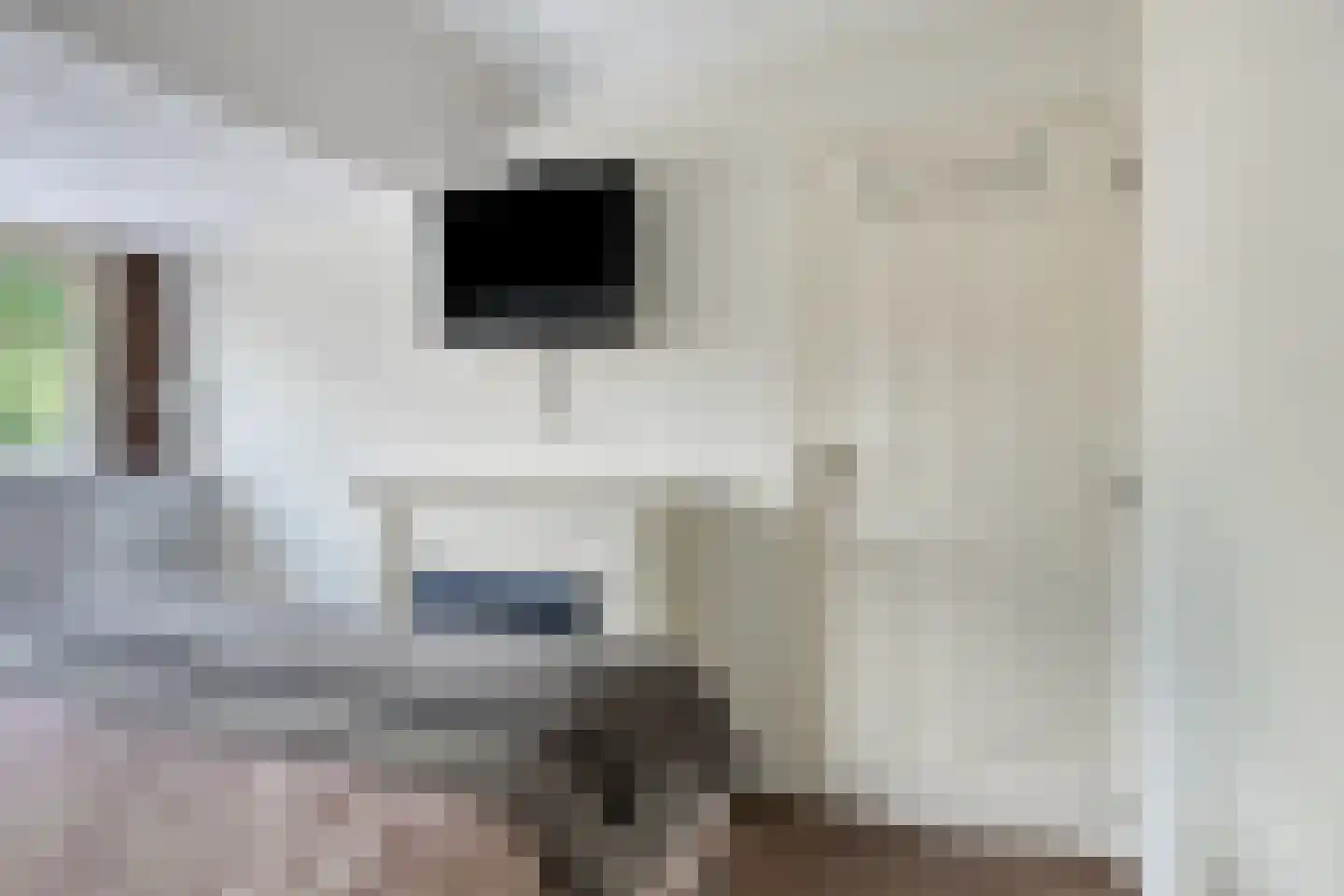 Iepenbroek 3 Breda thumbnail 41