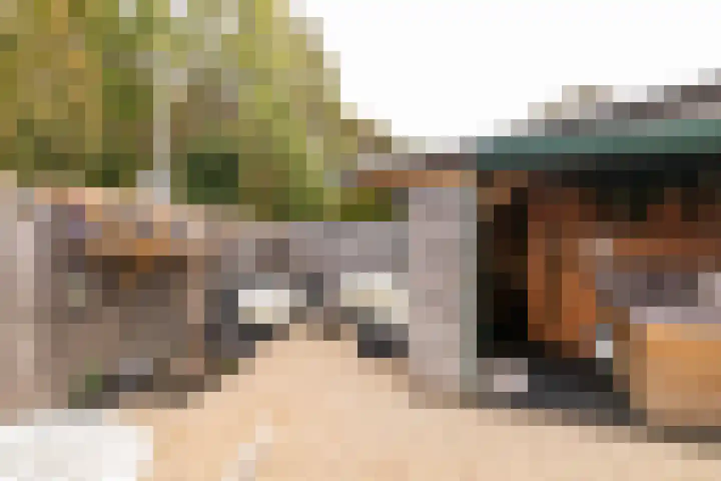 Iepenbroek 3 Breda thumbnail 55
