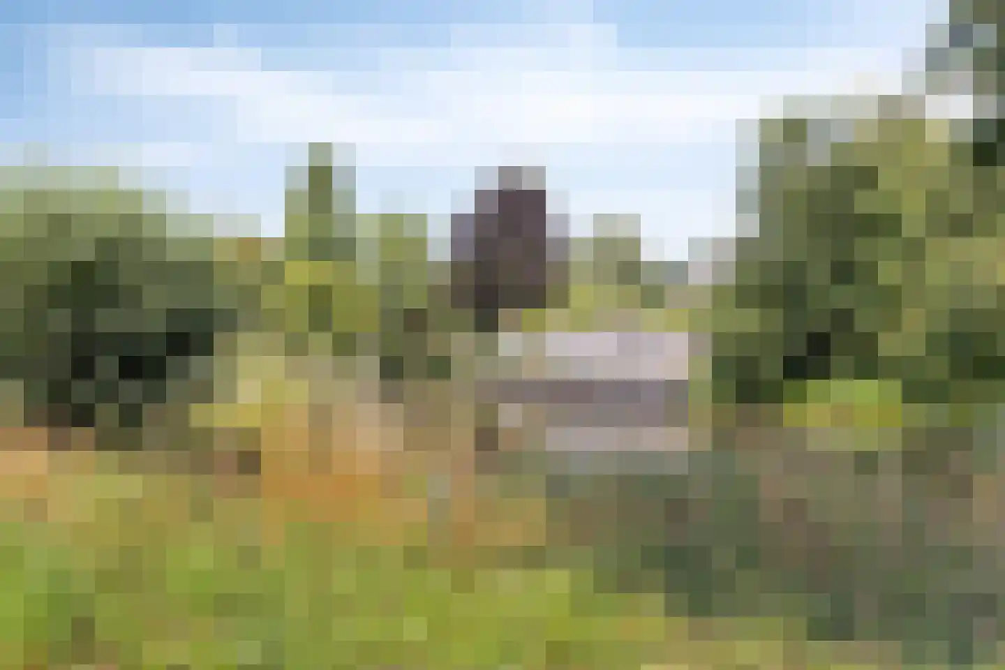 Iepenbroek 3 Breda thumbnail 58