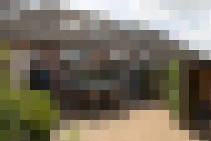 Iepenburg 20 Bolsward thumbnail 30
