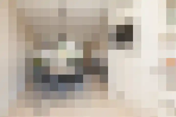 Iepenburg 20 Bolsward thumbnail 8