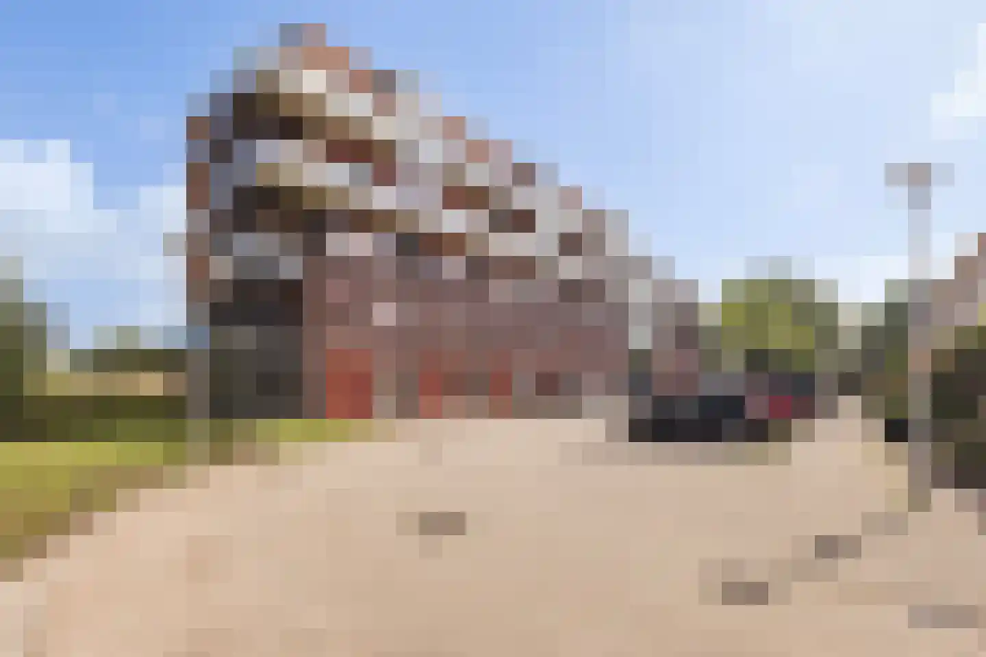 Iependaal 17 Rozenburg thumbnail 39