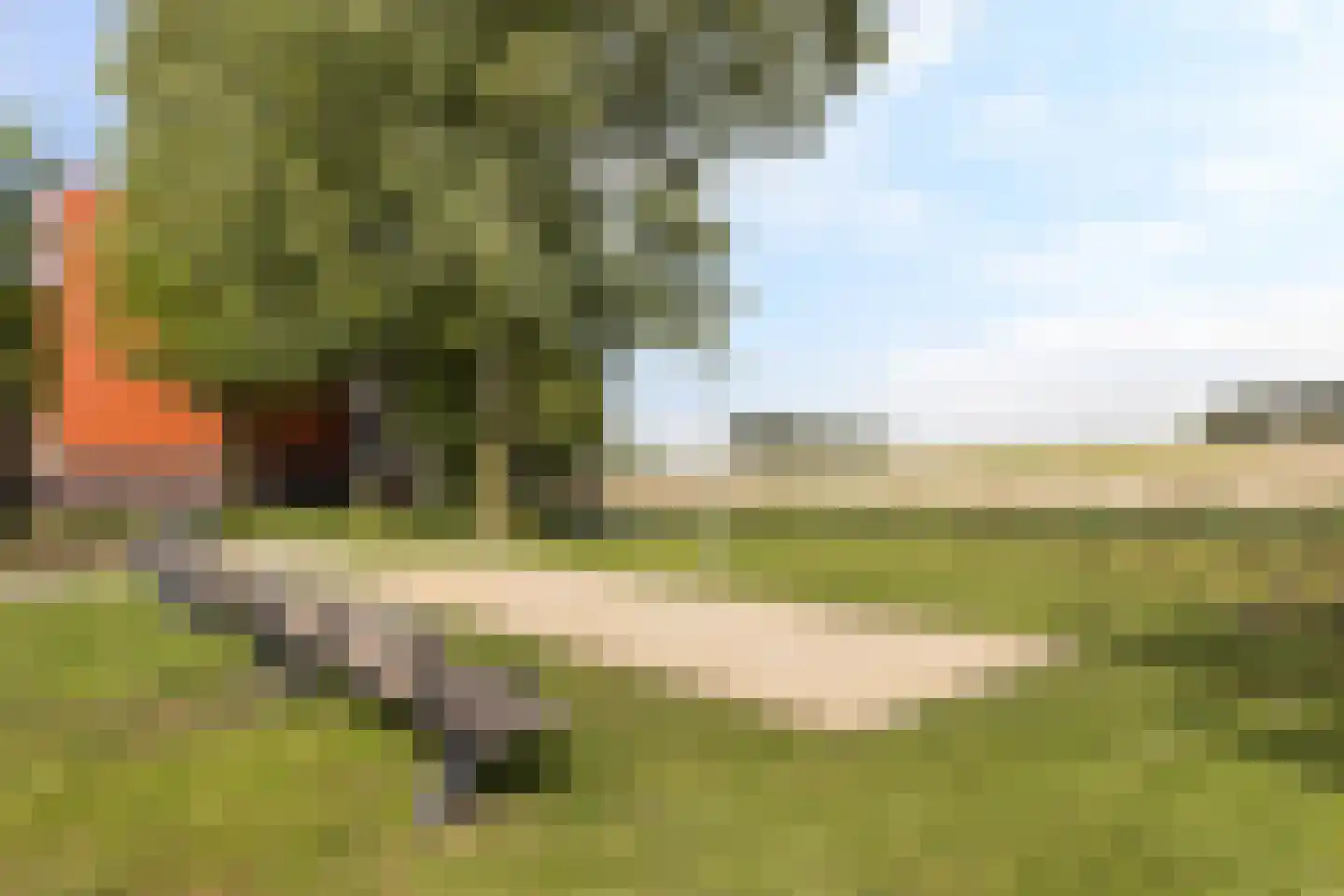 Iependaal 17 Rozenburg thumbnail 40