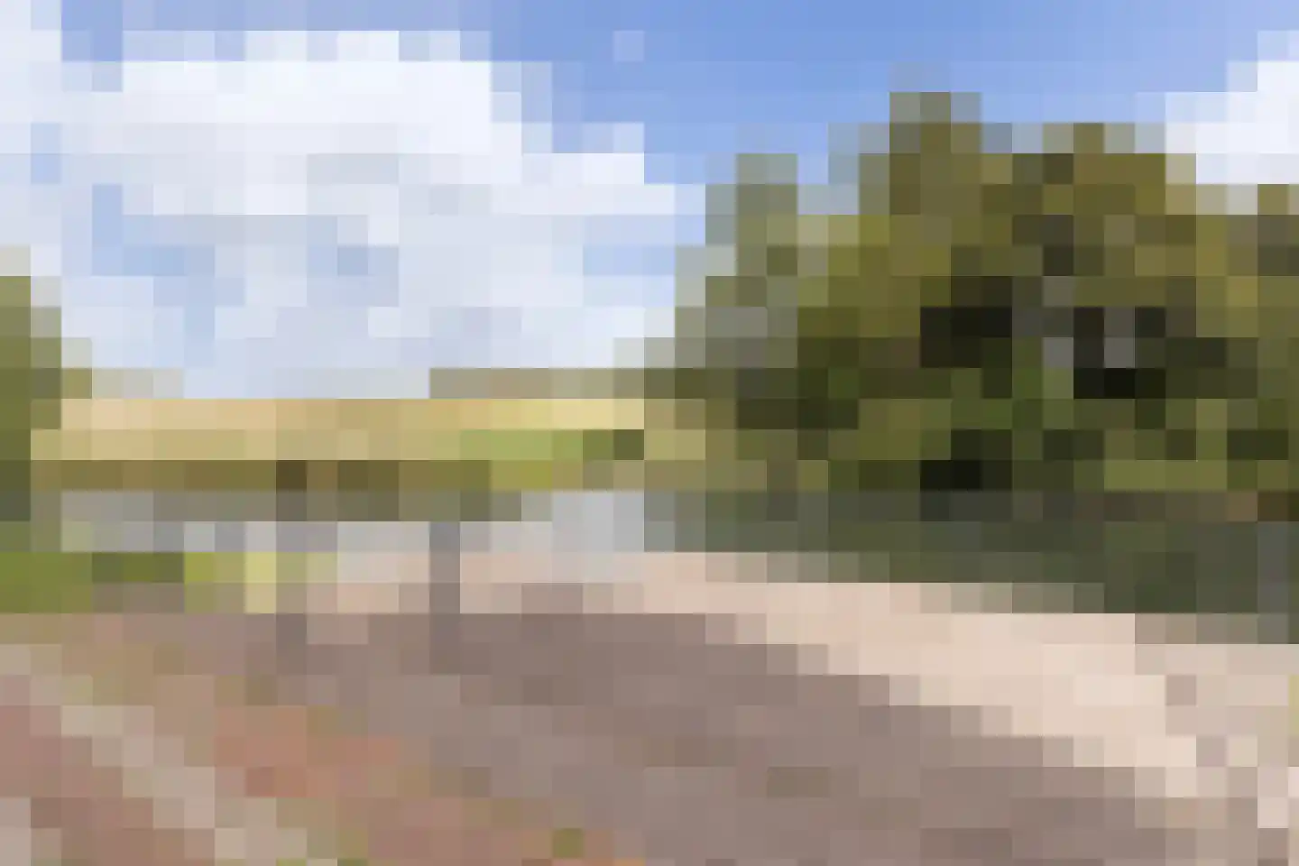 Iependaal 17 Rozenburg thumbnail 42