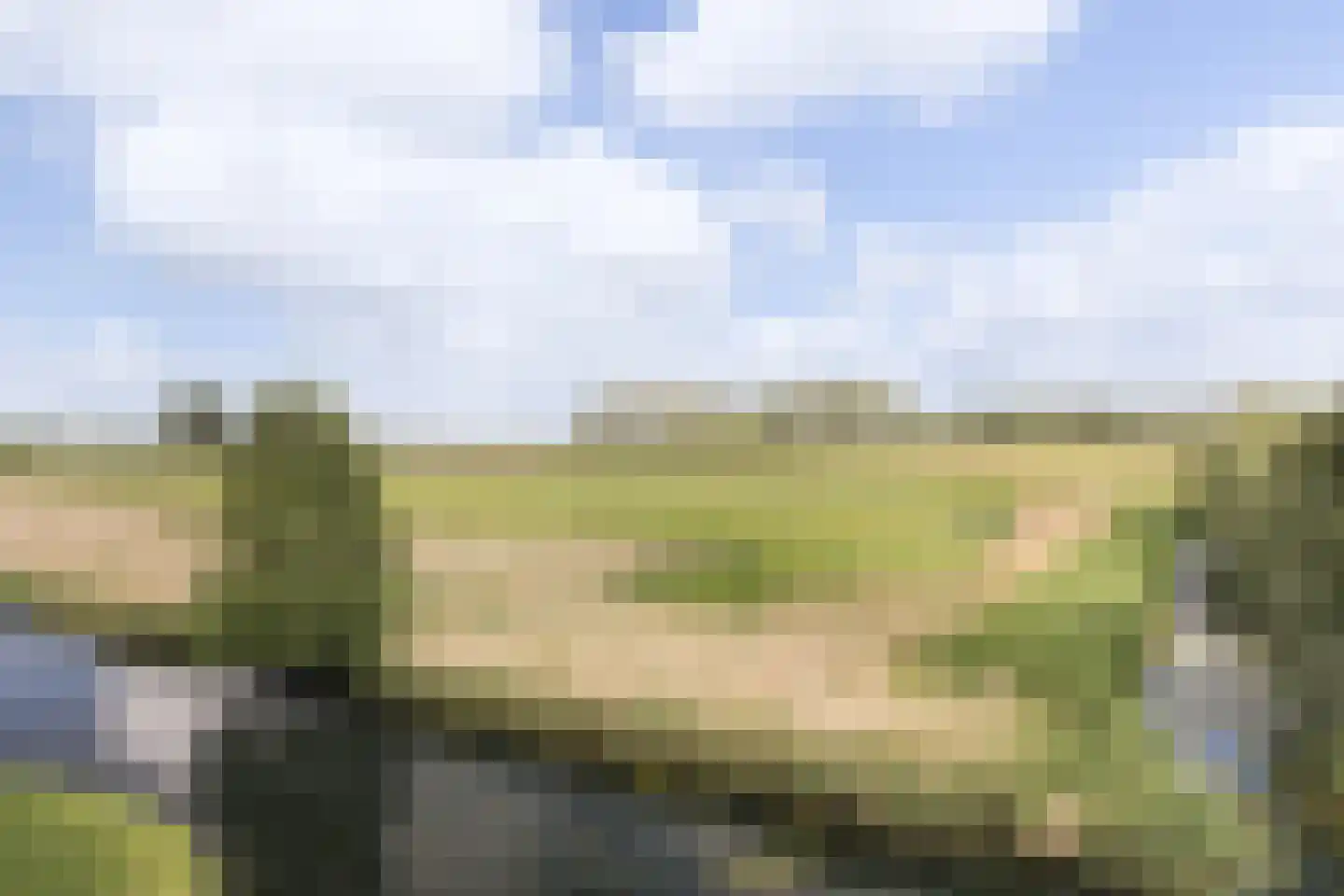 Iependaal 17 Rozenburg thumbnail 43