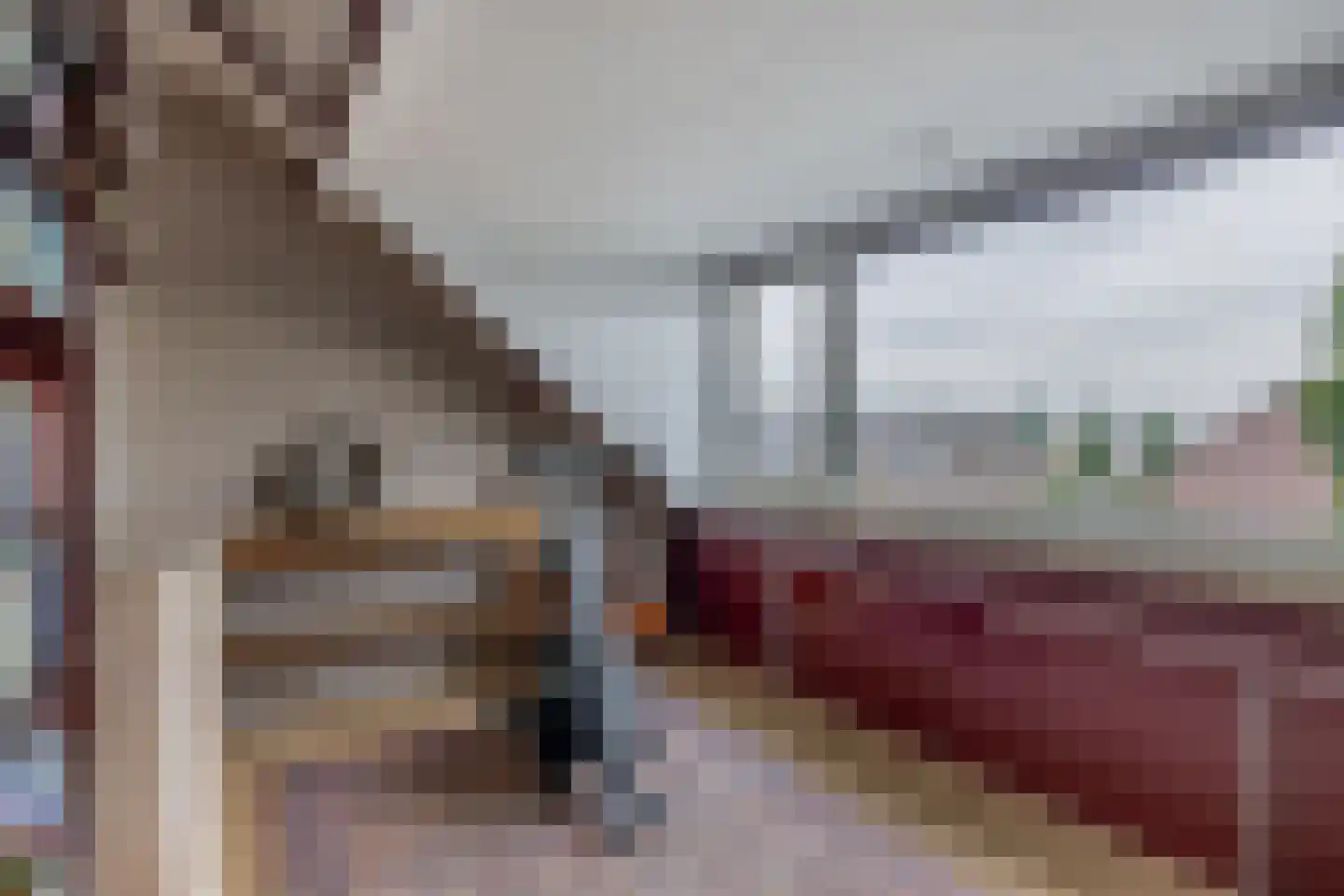 Iependaal 29 Gouderak thumbnail 30