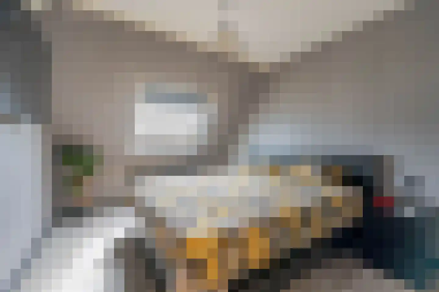 Iependaal 32 Rotterdam thumbnail 5